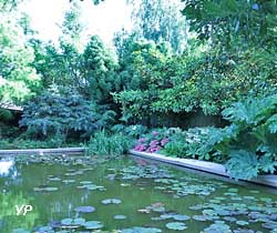 Reflets de Jardin