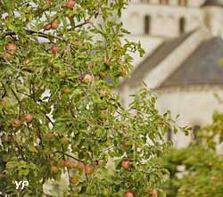 Jardins de l'Abbaye Saint-Georges