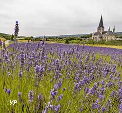 Jardins de l'Abbaye Saint-Georges