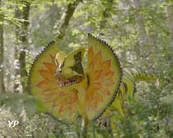 Parc aux Dinosaures Dordogne-P&eacute;rigord
